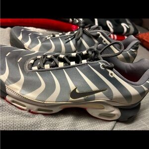 Nike Gray and White Zebra Sneakers (BEFORE THE BITE)